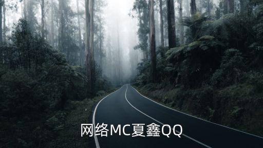 夏鑫，夏鑫的藝術簽名怎么寫...